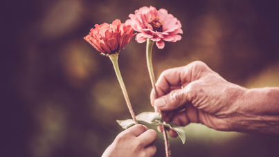 24-Hour Care & Supervision